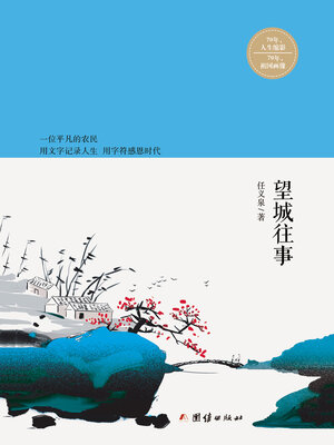 cover image of 望城往事